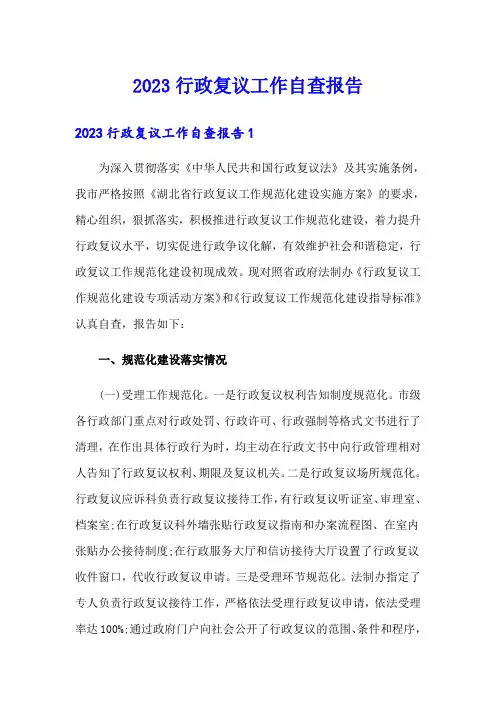 2023行政复议工作自查报告
