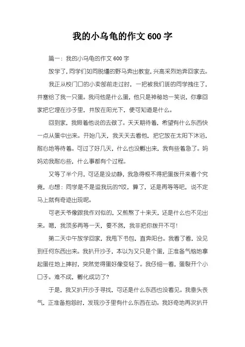 我的小乌龟的作文600字