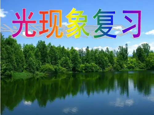 初中物理光现象复习ppt课件