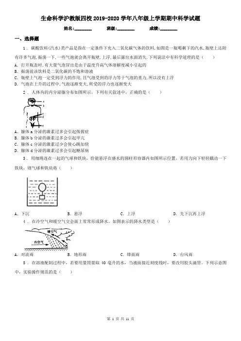 生命科学沪教版四校2019-2020学年八年级上学期期中科学试题