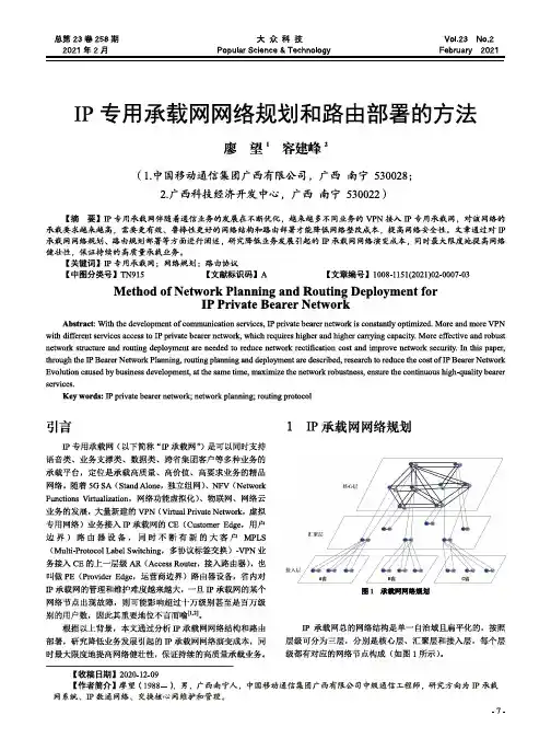 IP专用承载网网络规划和路由部署的方法