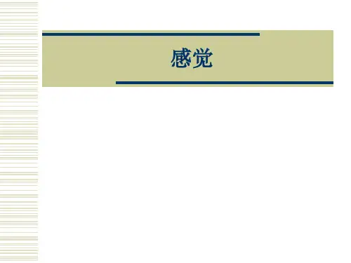感受性和感觉阈限
