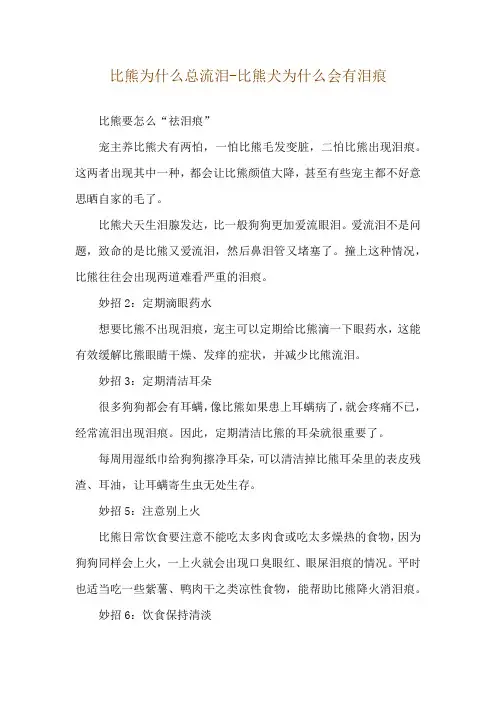比熊为什么总流泪-比熊犬为什么会有泪痕