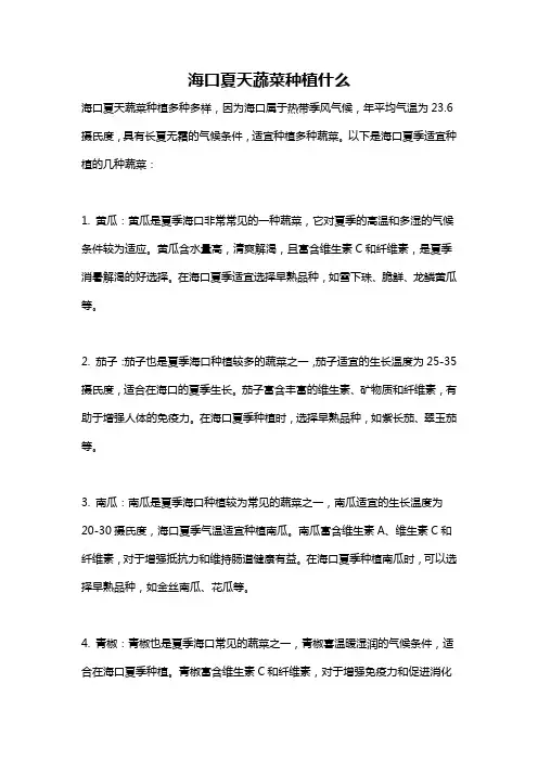 海口夏天蔬菜种植什么