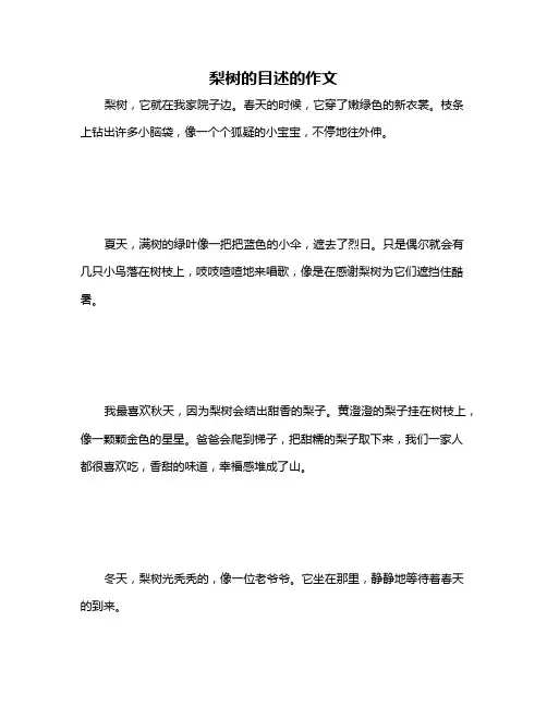 梨树的目述的作文