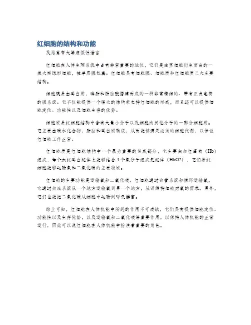红细胞的结构和功能