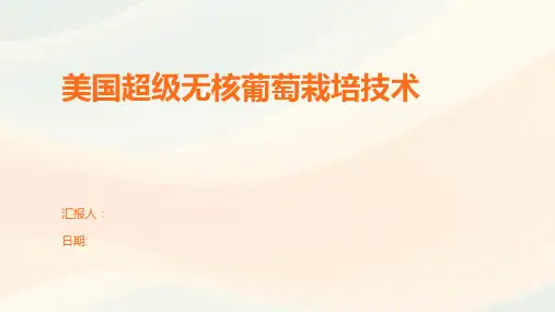 美国超级无核葡萄栽培技术