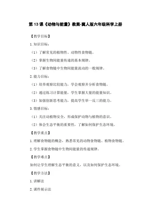 第13课《动物与能量》教案-冀人版六年级科学上册