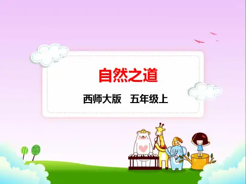 西师大版五年级上册语文 26.自然之道课件