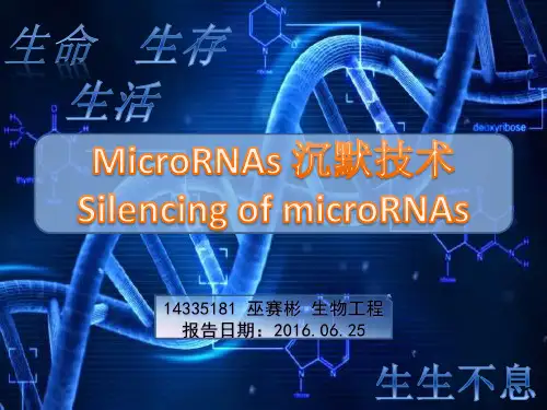 microRNA沉默技术