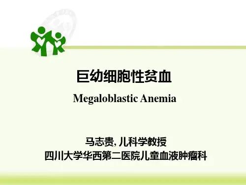 巨幼红细胞贫血-临床医学八年制2014
