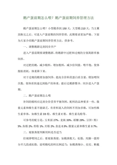 鹅产蛋前期怎么喂？鹅产蛋前期饲养管理方法