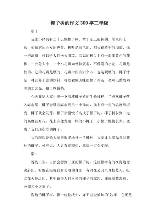 椰子树的作文300字三年级