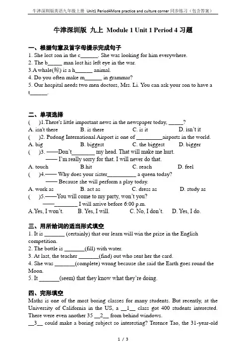 牛津深圳版英语九年级上册 Unit1 Period4More practice and cultur