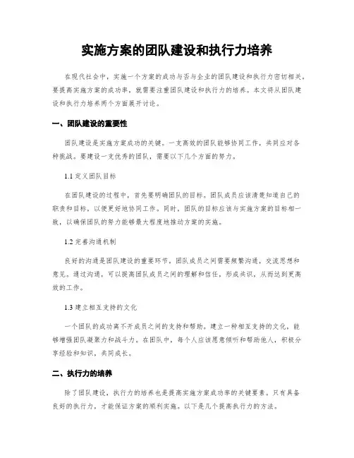 实施方案的团队建设和执行力培养