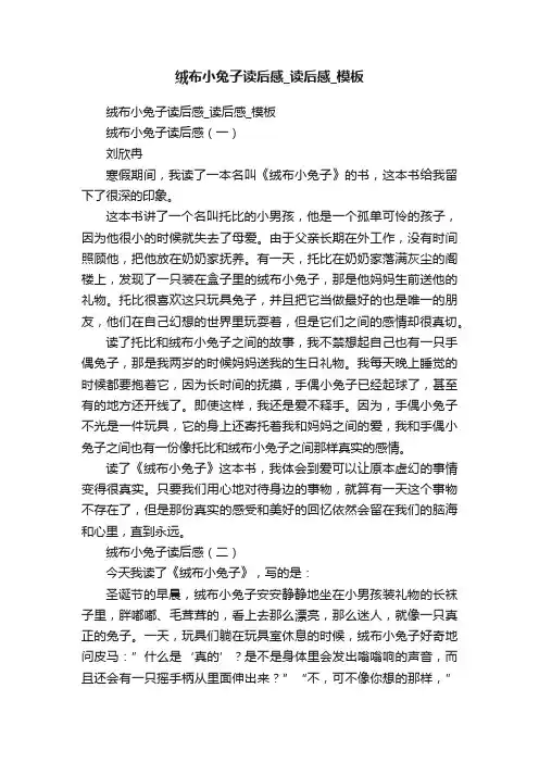 绒布小兔子读后感_读后感_模板