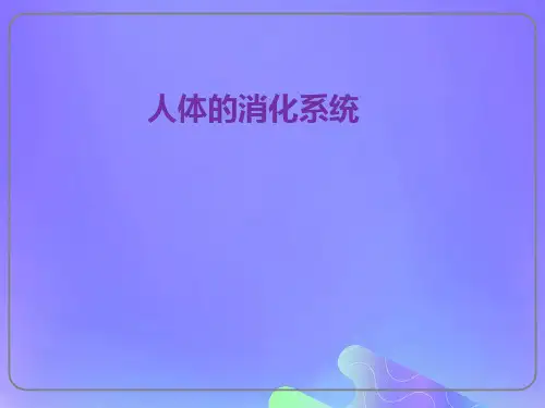 七年级生物下册第四单元生物圈中的人第九章人的食物来自环境第二节人体的消化与吸收课件3(新版)苏教版