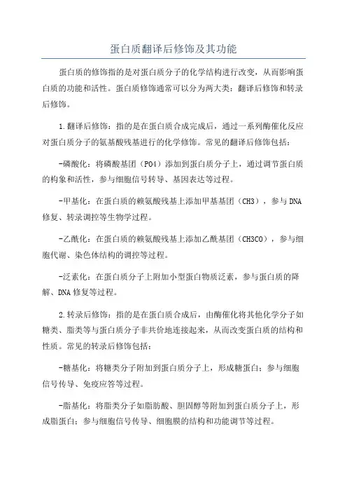 蛋白质翻译后修饰及其功能