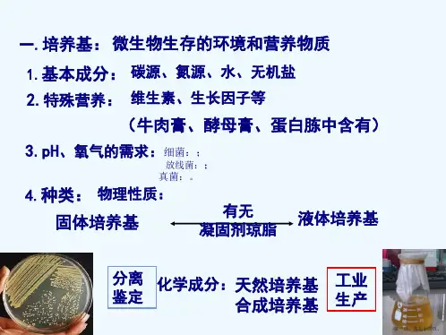 实验五微生物培养基配制与灭菌