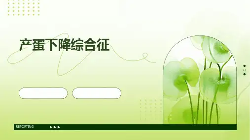 《产蛋下降综合征》课件