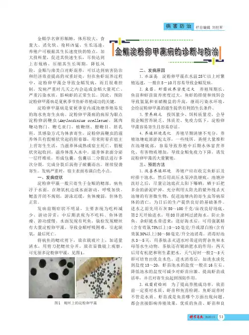 金鲳淀粉卵甲藻病的诊断与防治