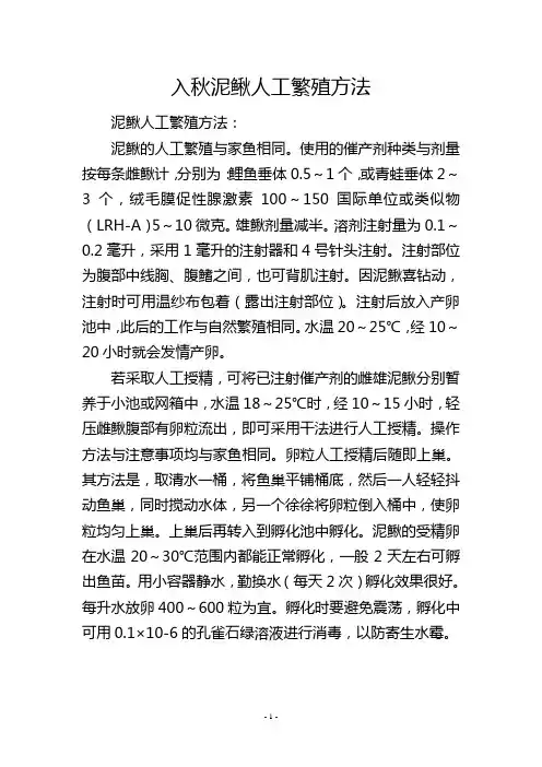 入秋泥鳅人工繁殖方法