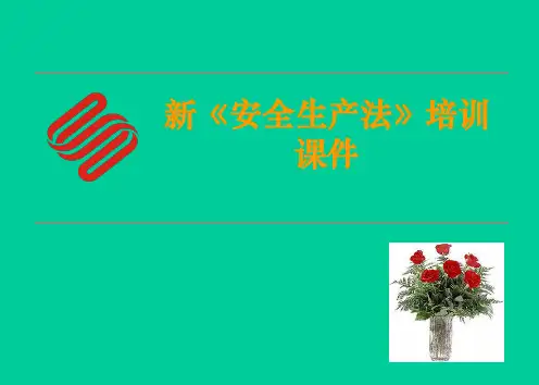 新安全生产法培训课件ppt
