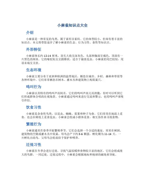 小麻雀知识点大全