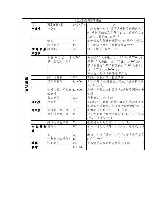 公益项目经费预算【范本模板】