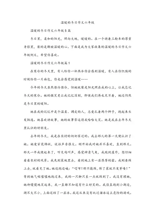 温暖的冬日作文六年级