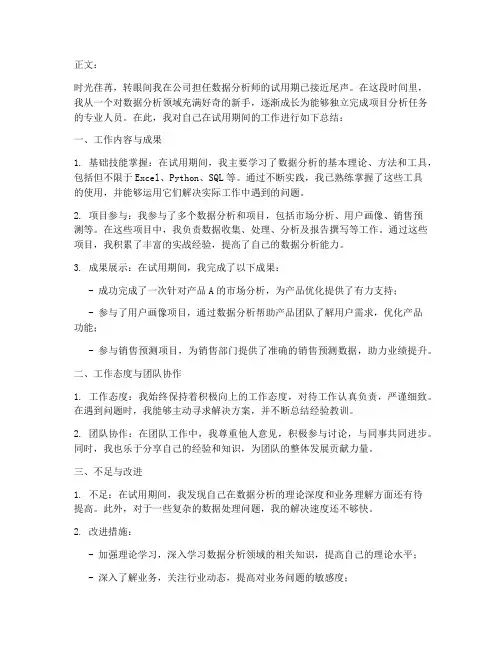 数据转正个人工作总结