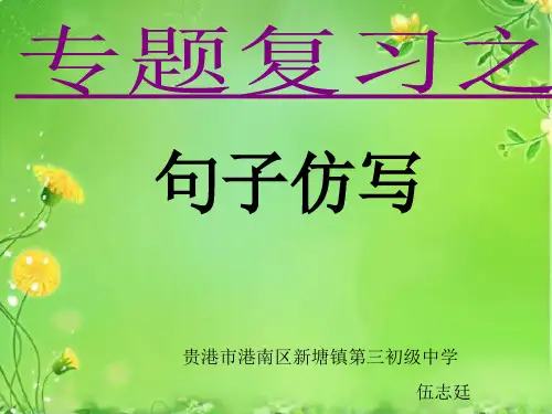 2021年中考语文专题复习之句子仿写课件(共38张ppt)
