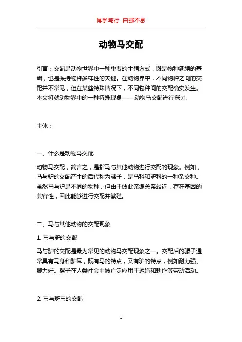 动物马交配