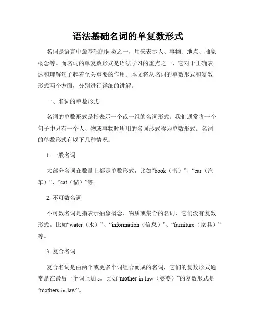 语法基础名词的单复数形式
