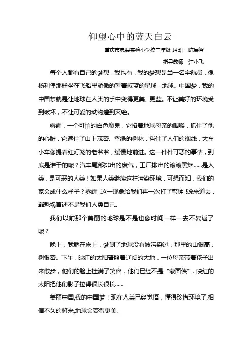 陈展智Microsoft Word 文档 (3)