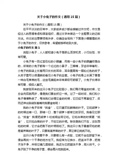 关于小兔子的作文（通用15篇）