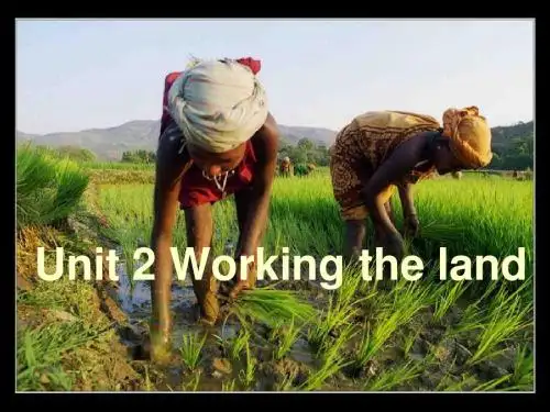 优秀课件：必修4unit2 working the land reading