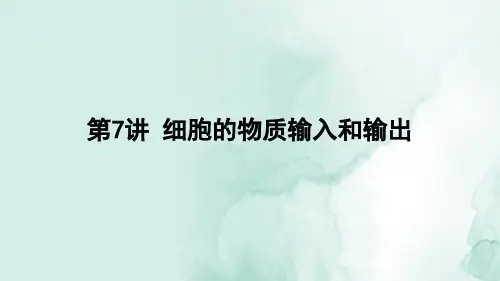 高三生物一轮复习精品课件6：第7讲 细胞的物质输入和输出