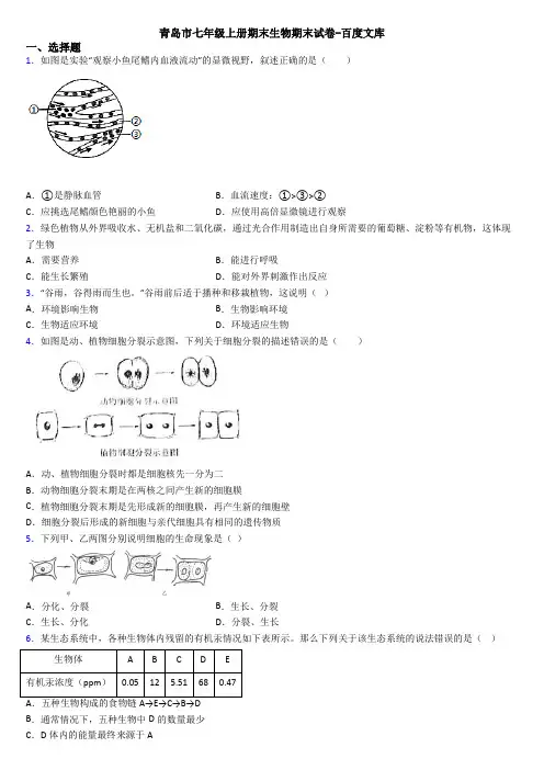 青岛市七年级上册期末生物期末试卷-百度文库