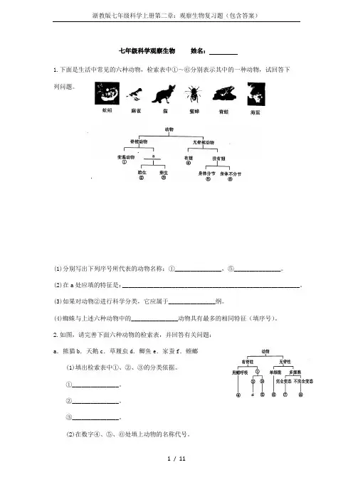 浙教版七年级科学上册第二章：观察生物复习题(包含答案)