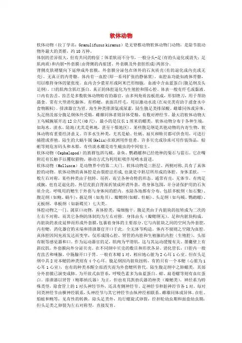 八年级生物上册 第五单元 生物圈中的其他生物 第一章 动物的主要类群 第三节 软体动物和节肢动物 软