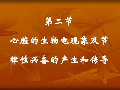 心脏的生物电现象及节律性兴奋的产生和传导