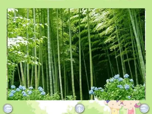 二年级语文下册《3、笋芽儿》PPT课件