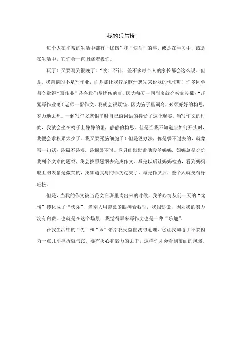 小学作文我的乐与忧