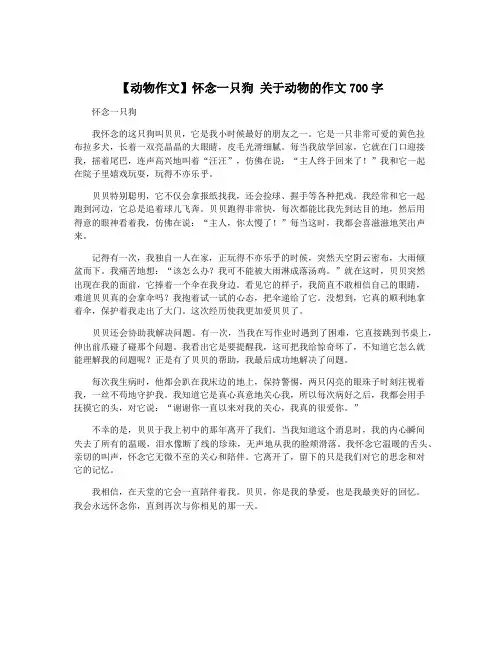 【动物作文】怀念一只狗 关于动物的作文700字