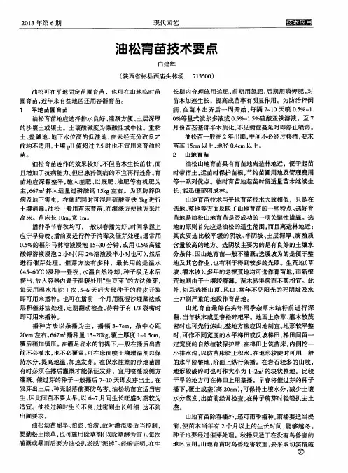 油松育苗技术要点