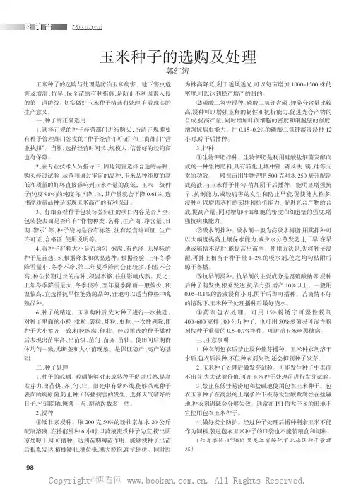 玉米种子的选购及处理