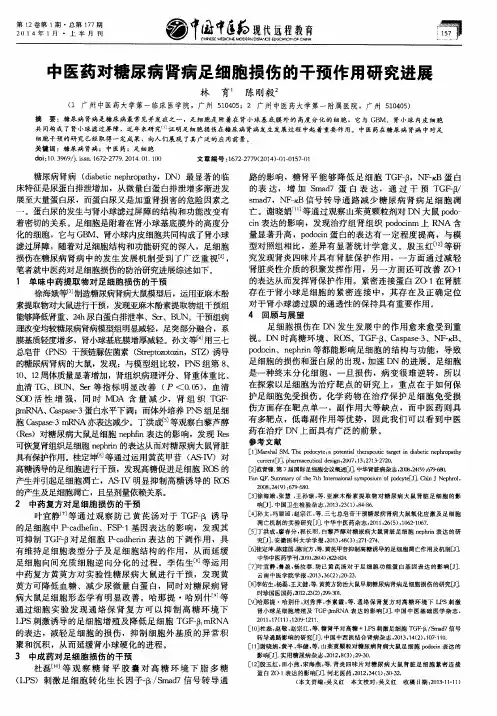 中医药对糖尿病肾病足细胞损伤的干预作用研究进展
