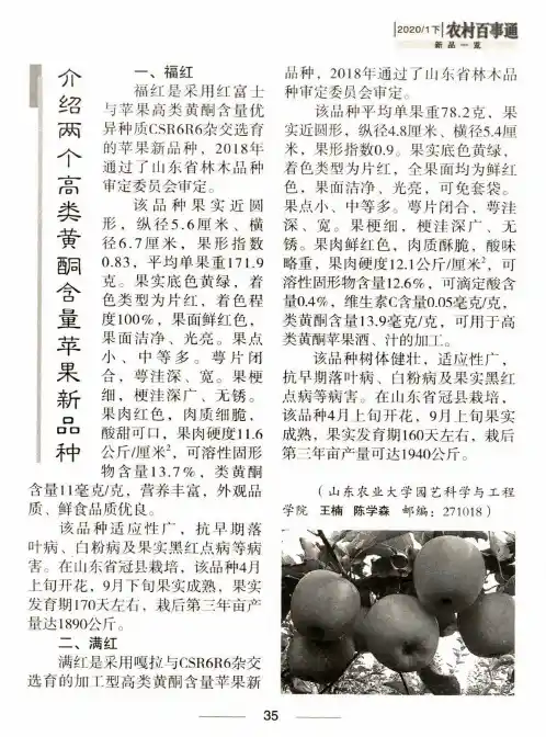 介绍两个高类黄酮含量苹果新品种