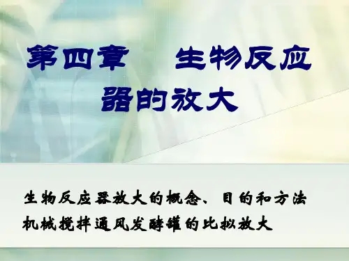 6反应器比拟放大.